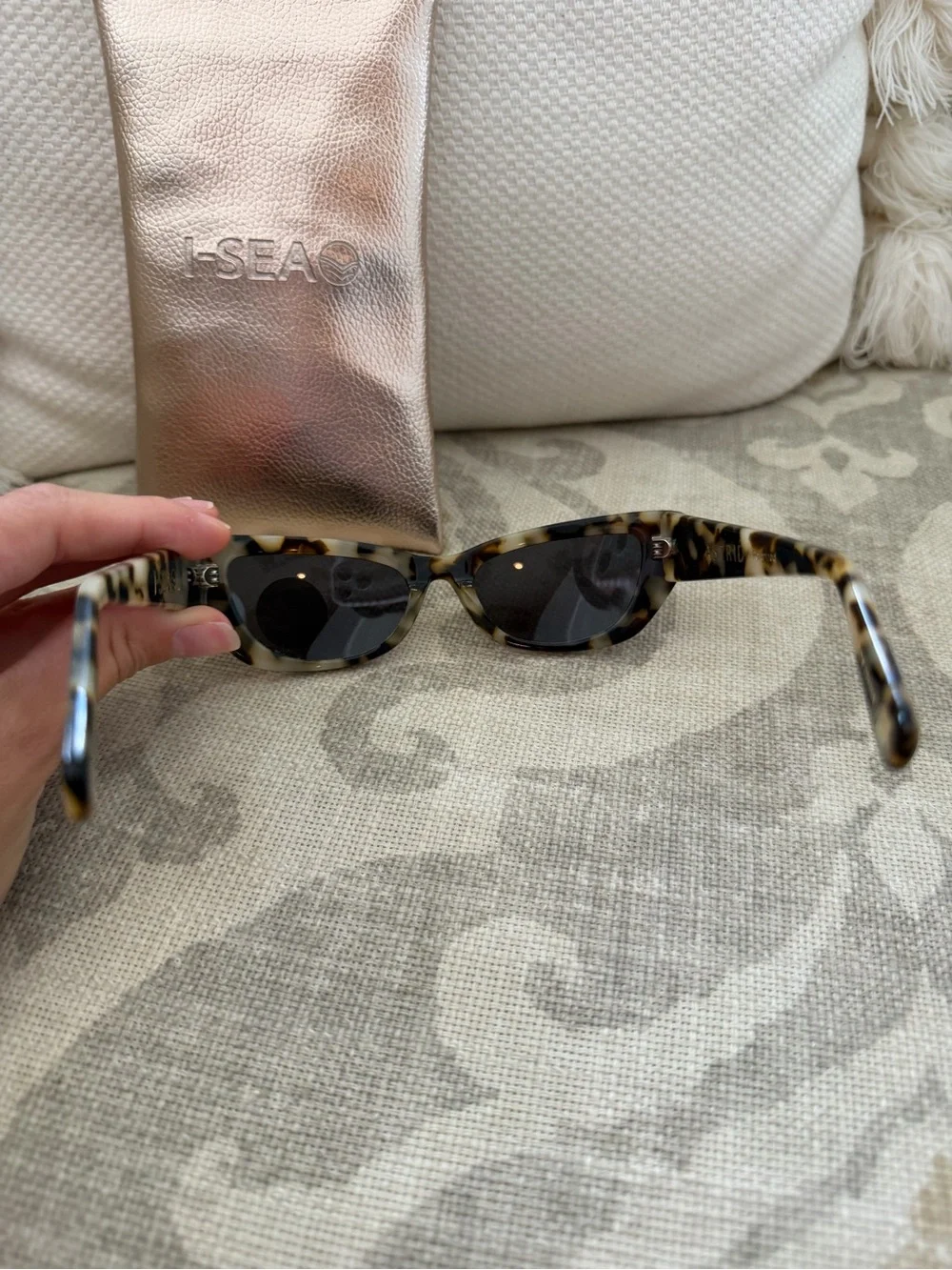 ISea light tortoise